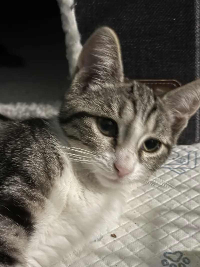 Fred And Wilma thumbnail 3