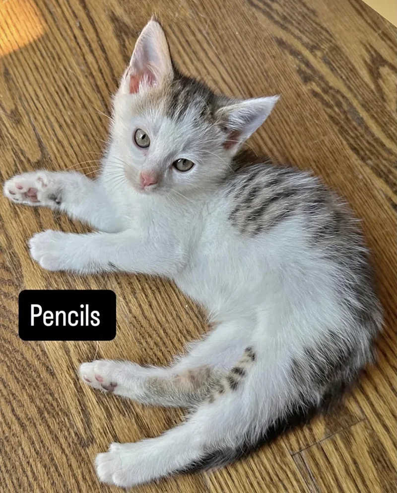 Pencils