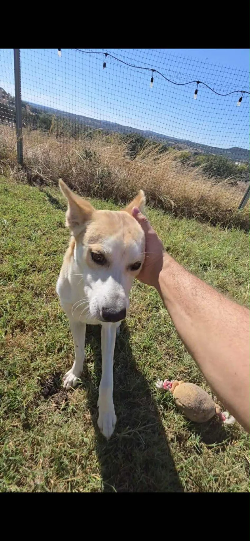 Arlo thumbnail 2