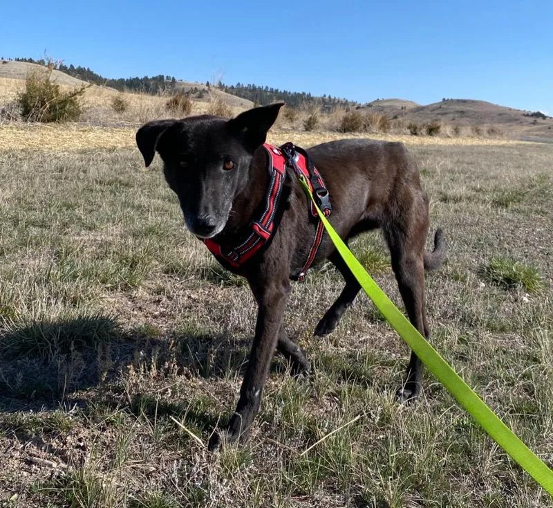 Tala And Sunbul  thumbnail 2