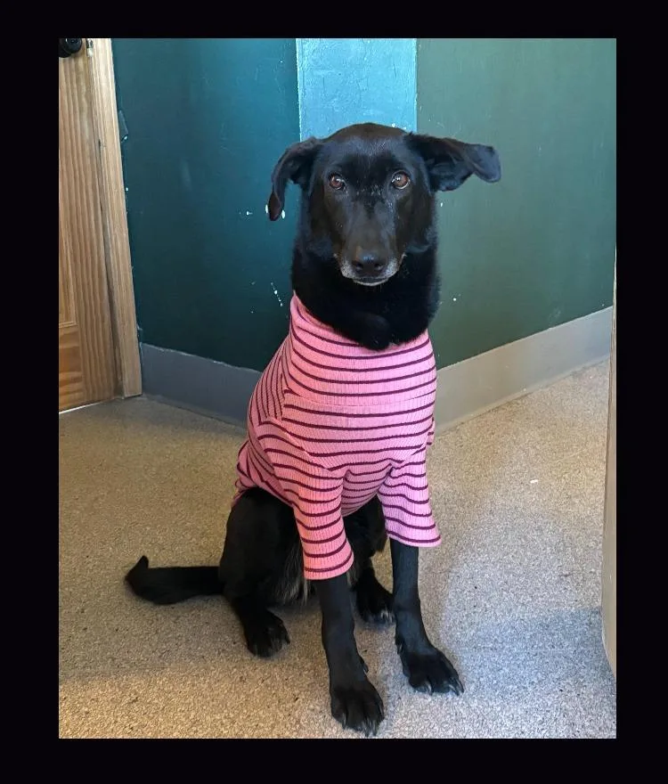 Tala And Sunbul  thumbnail 3