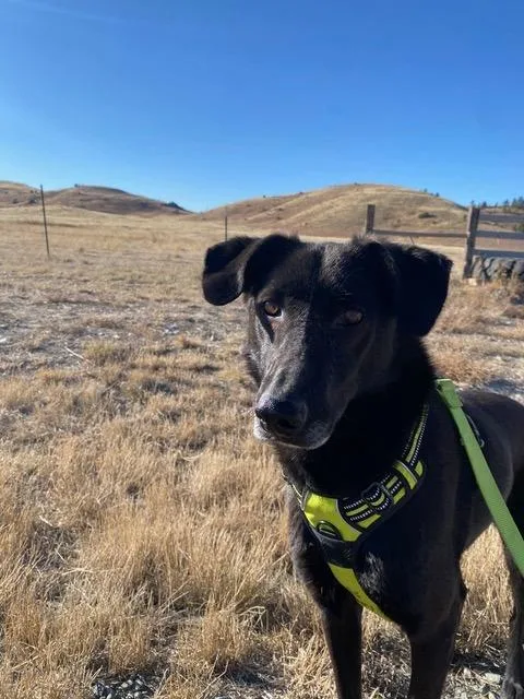 Tala And Sunbul  thumbnail 4