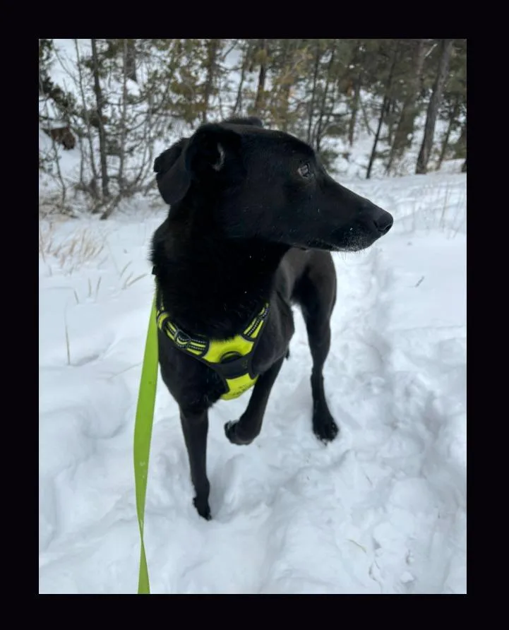 Tala And Sunbul  thumbnail 5