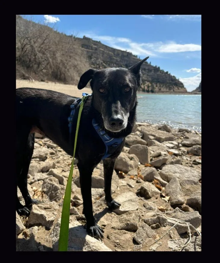 Tala And Sunbul  thumbnail 6