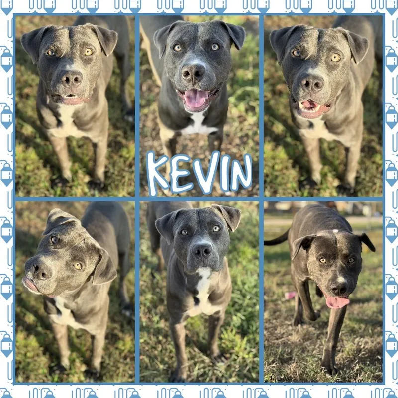 Kevin thumbnail 2