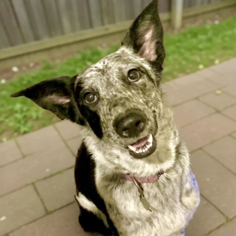 Freckles thumbnail 5