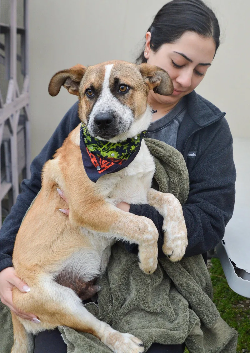 Budlightyear thumbnail 2