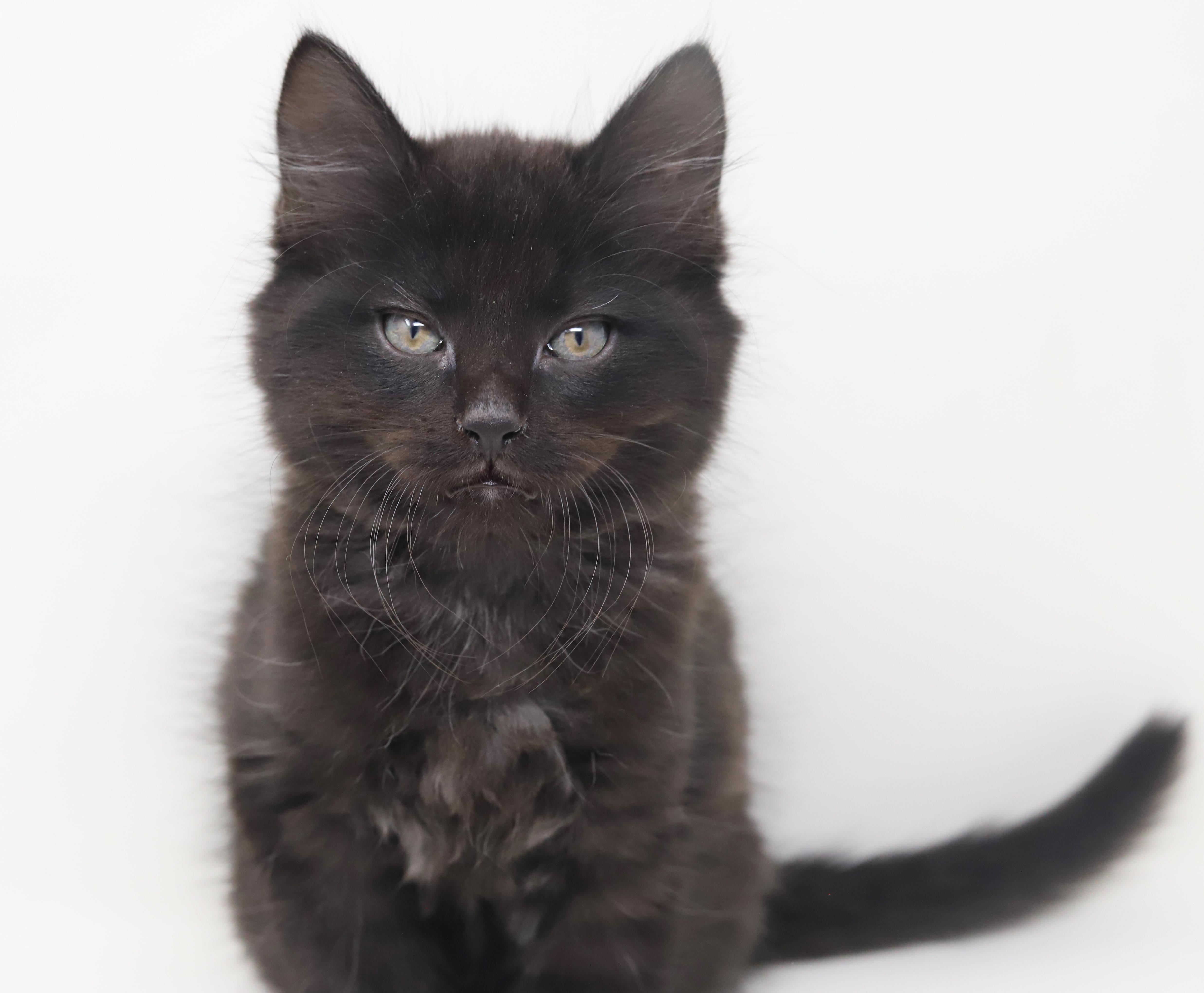 Floof Is Well... Floofy! thumbnail 2