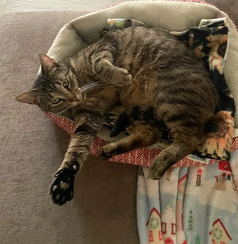 Isamu Nwc thumbnail 3