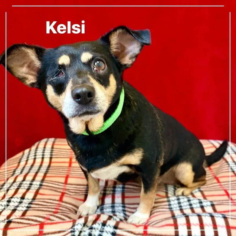 Kelsi thumbnail 4