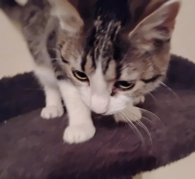 Lady Summer thumbnail 2