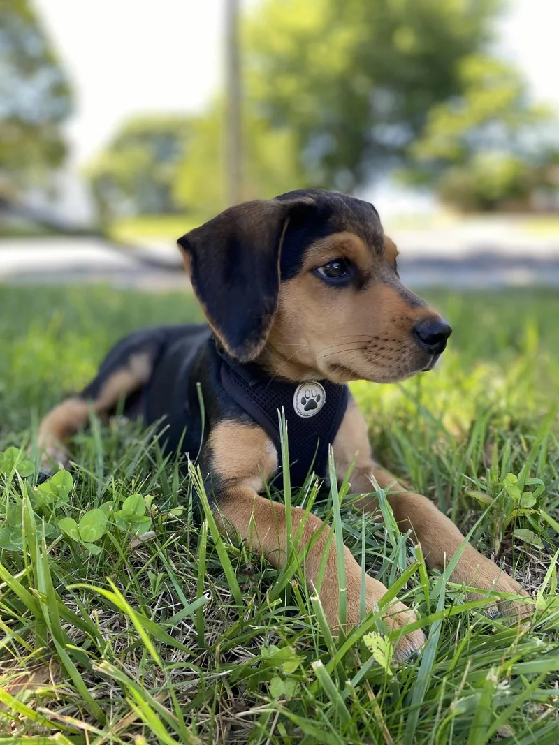 Riley