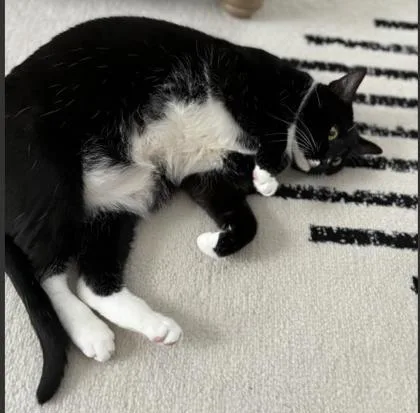 Ori