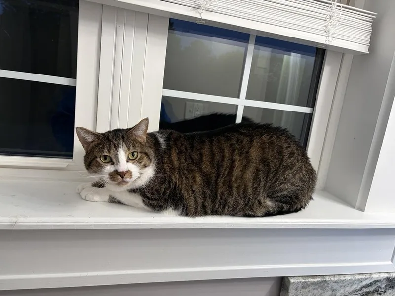Alfie JN thumbnail 2