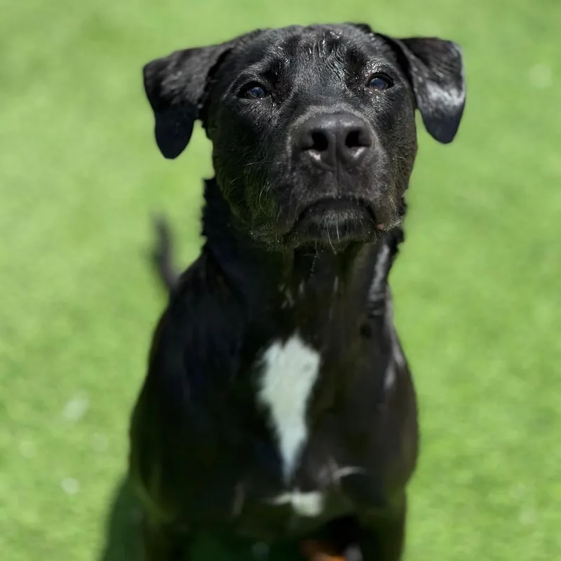 Poseidon thumbnail 2