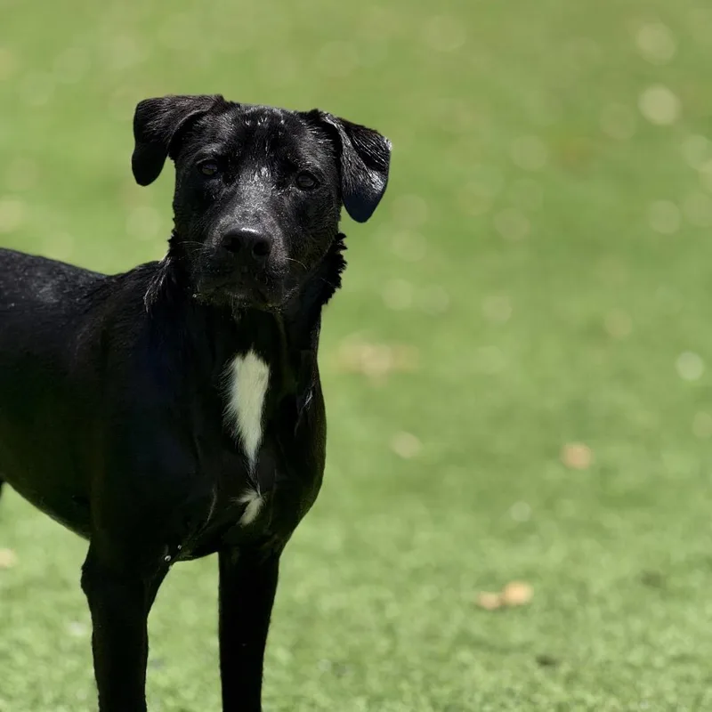 Poseidon thumbnail 3