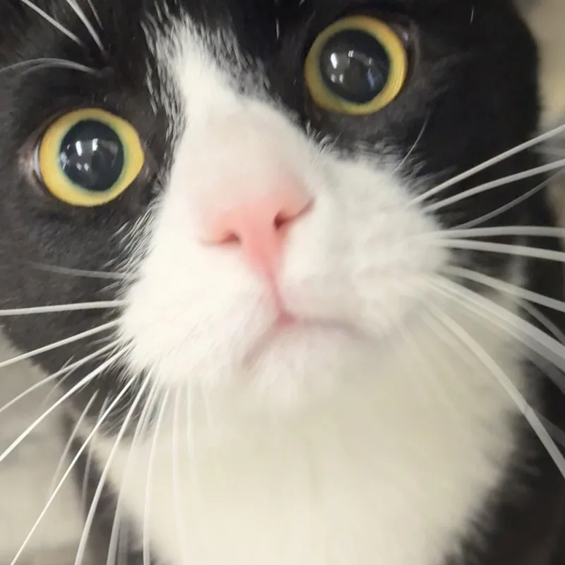 Binks thumbnail 2