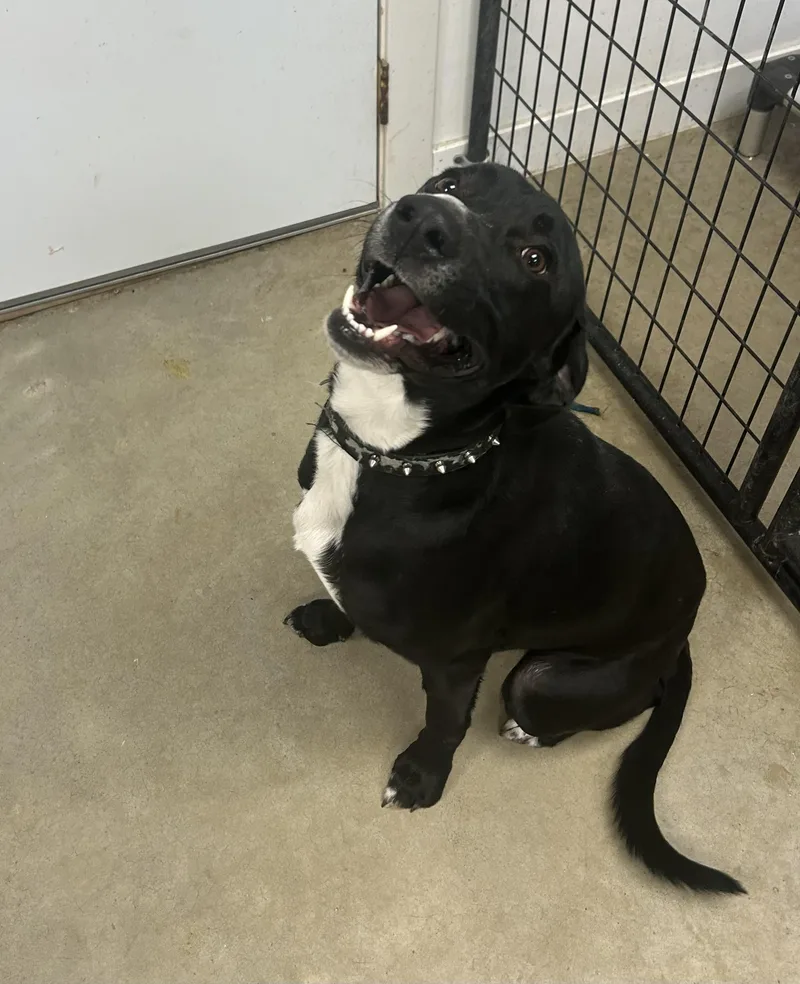 Charming thumbnail 2