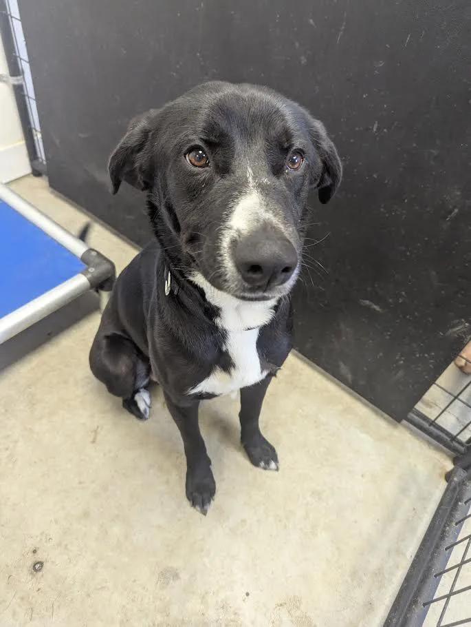 Charming thumbnail 3