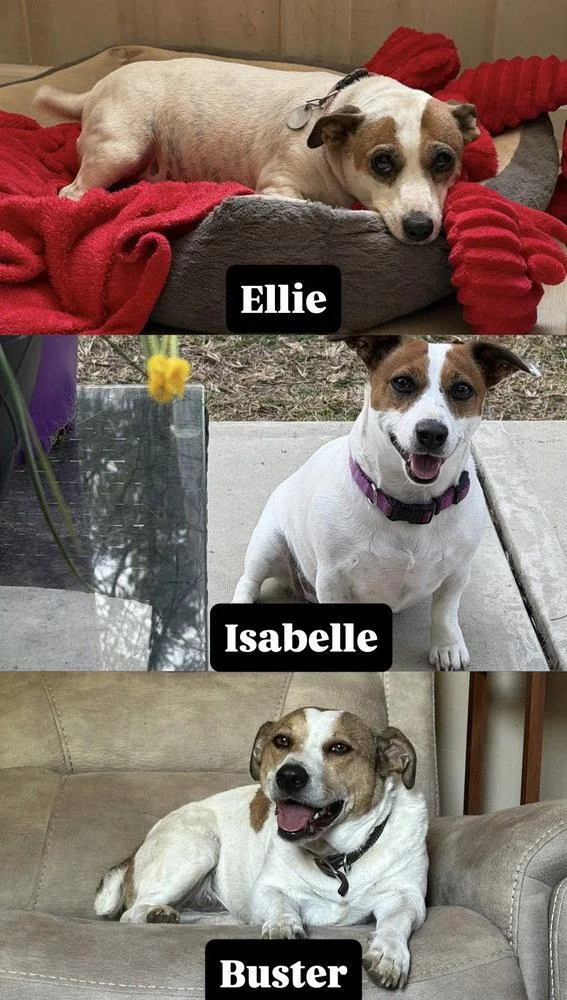 Ellie thumbnail 3