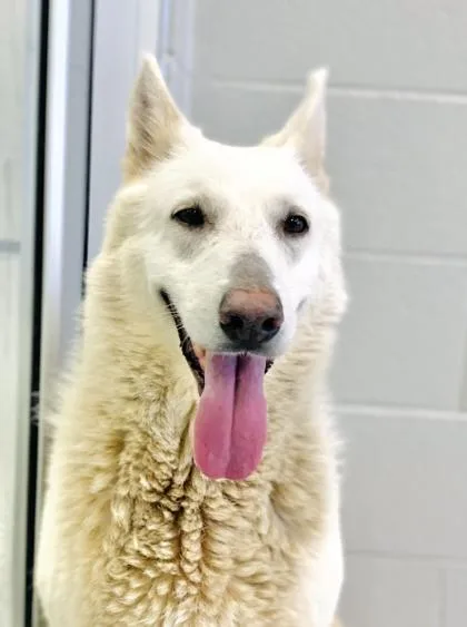 Makarlee thumbnail 2