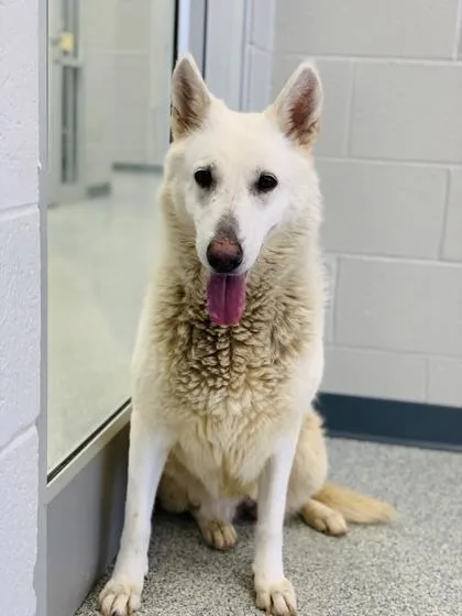 Makarlee thumbnail 3