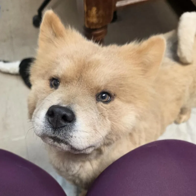 Osita