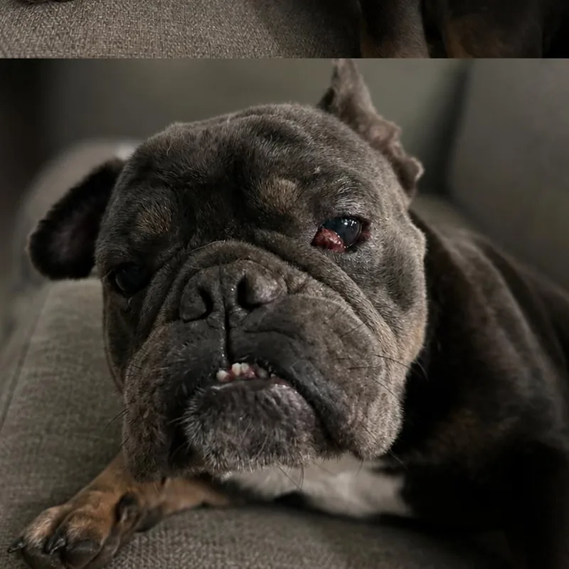 Frankie G