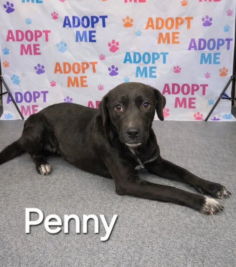 Penny Yrly thumbnail 2