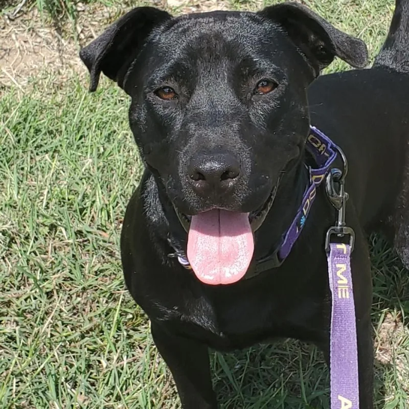 Evan Aka Quint Jum thumbnail 3