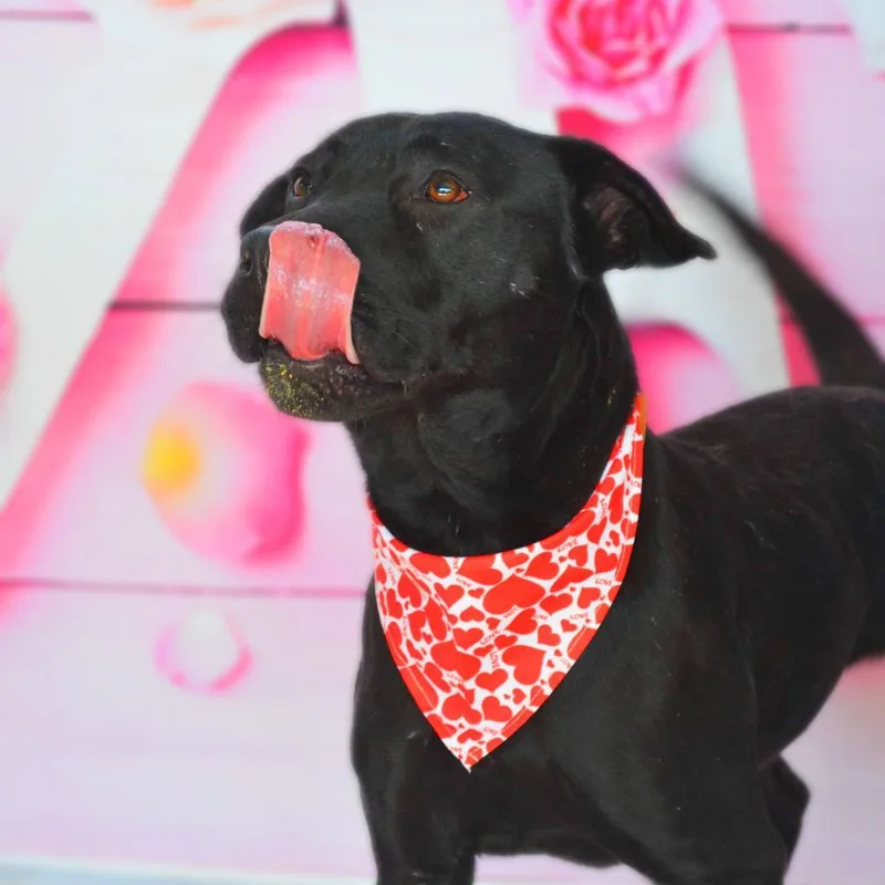 Evan Aka Quint Jum thumbnail 4