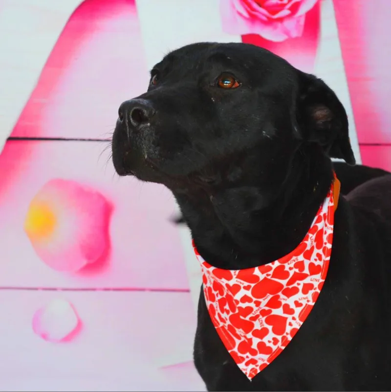 Evan Aka Quint Jum thumbnail 5