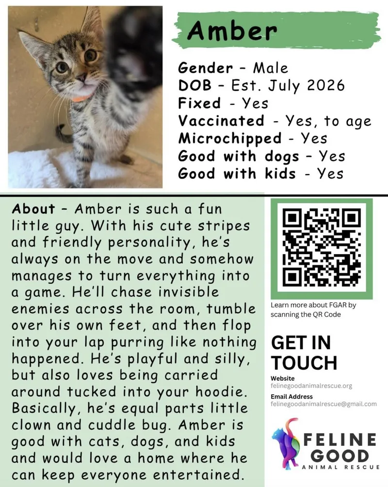 Amber thumbnail 2