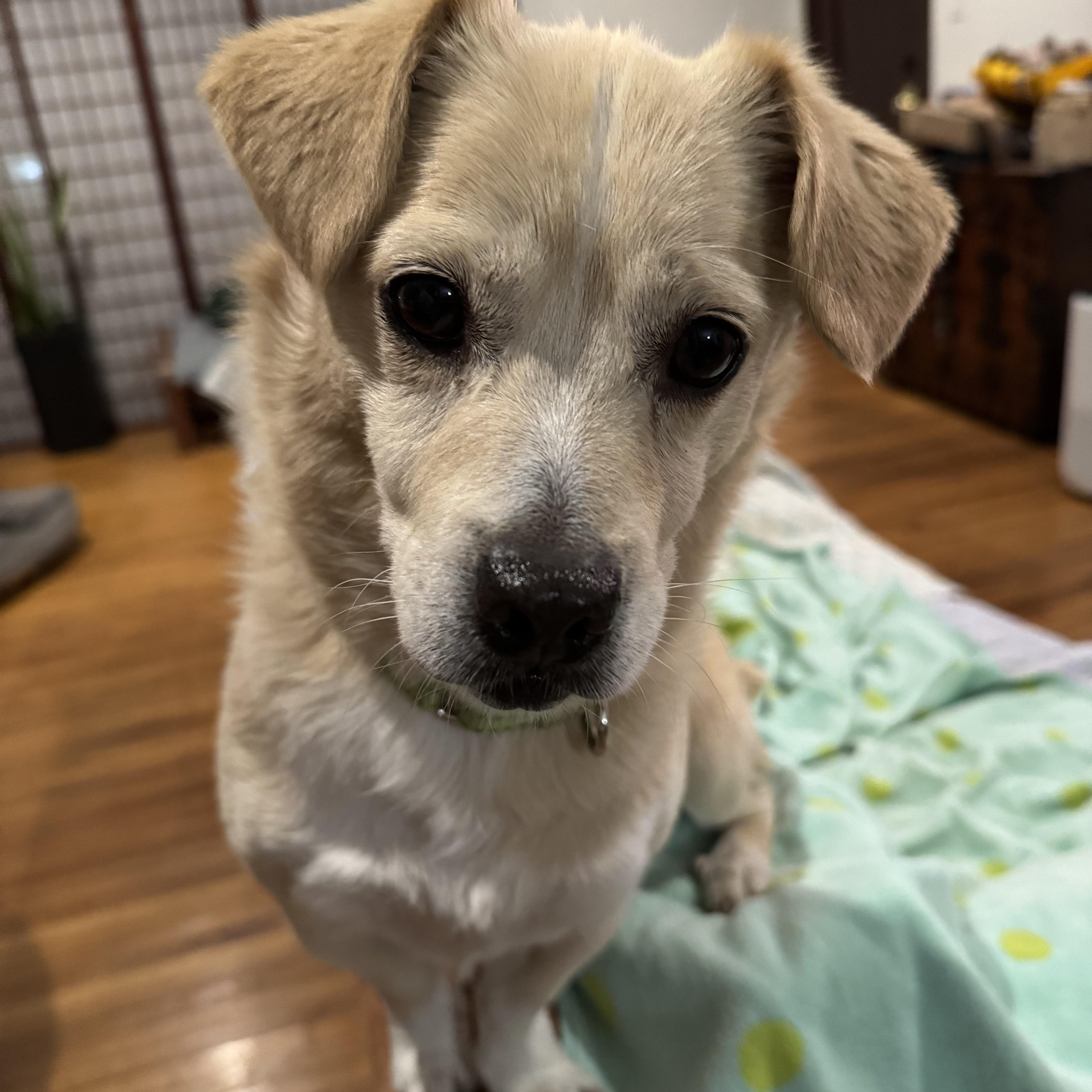 Sunshine thumbnail 2