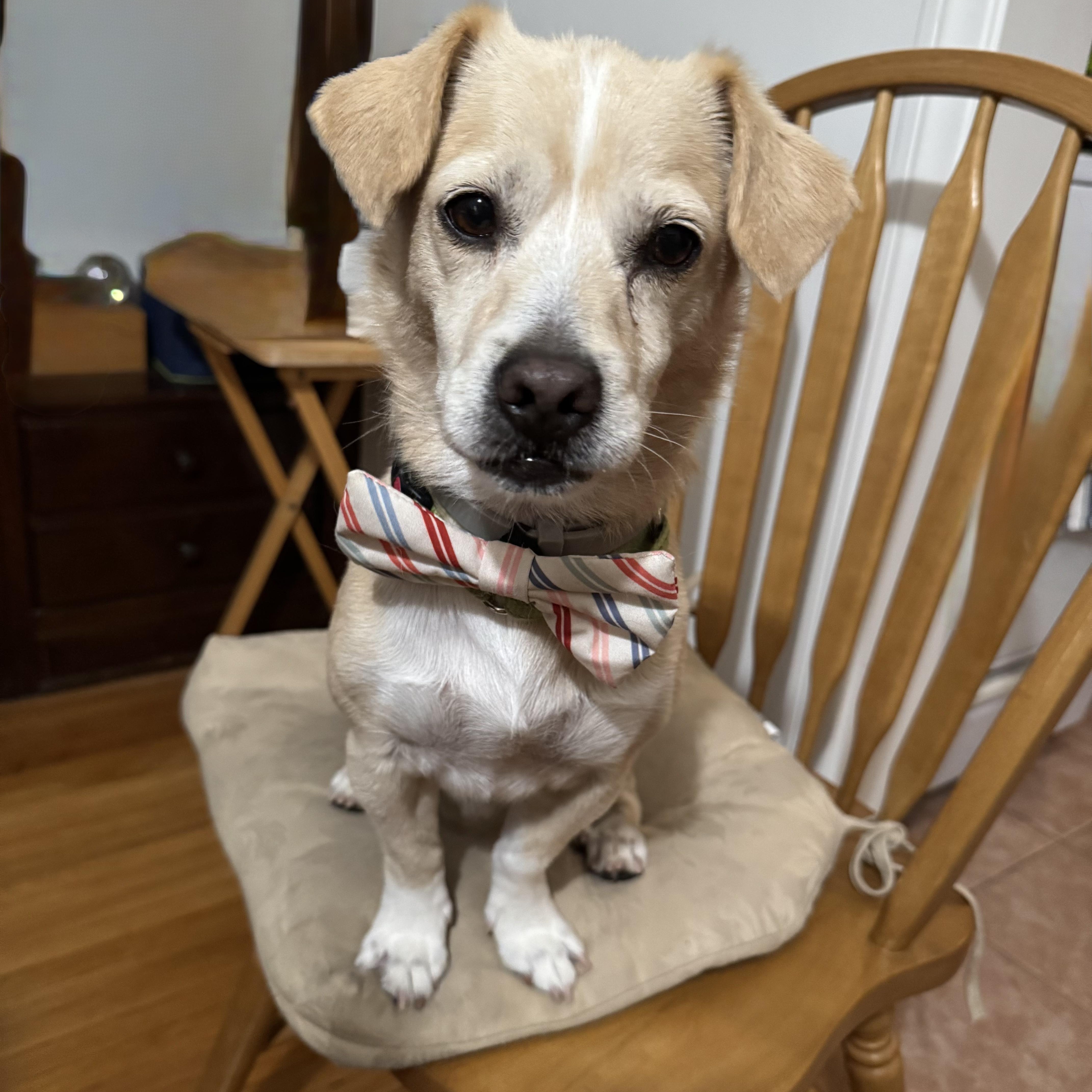 Sunshine thumbnail 3