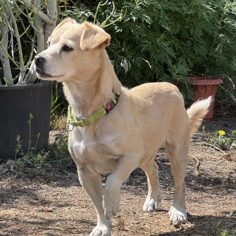 Sunshine thumbnail 5