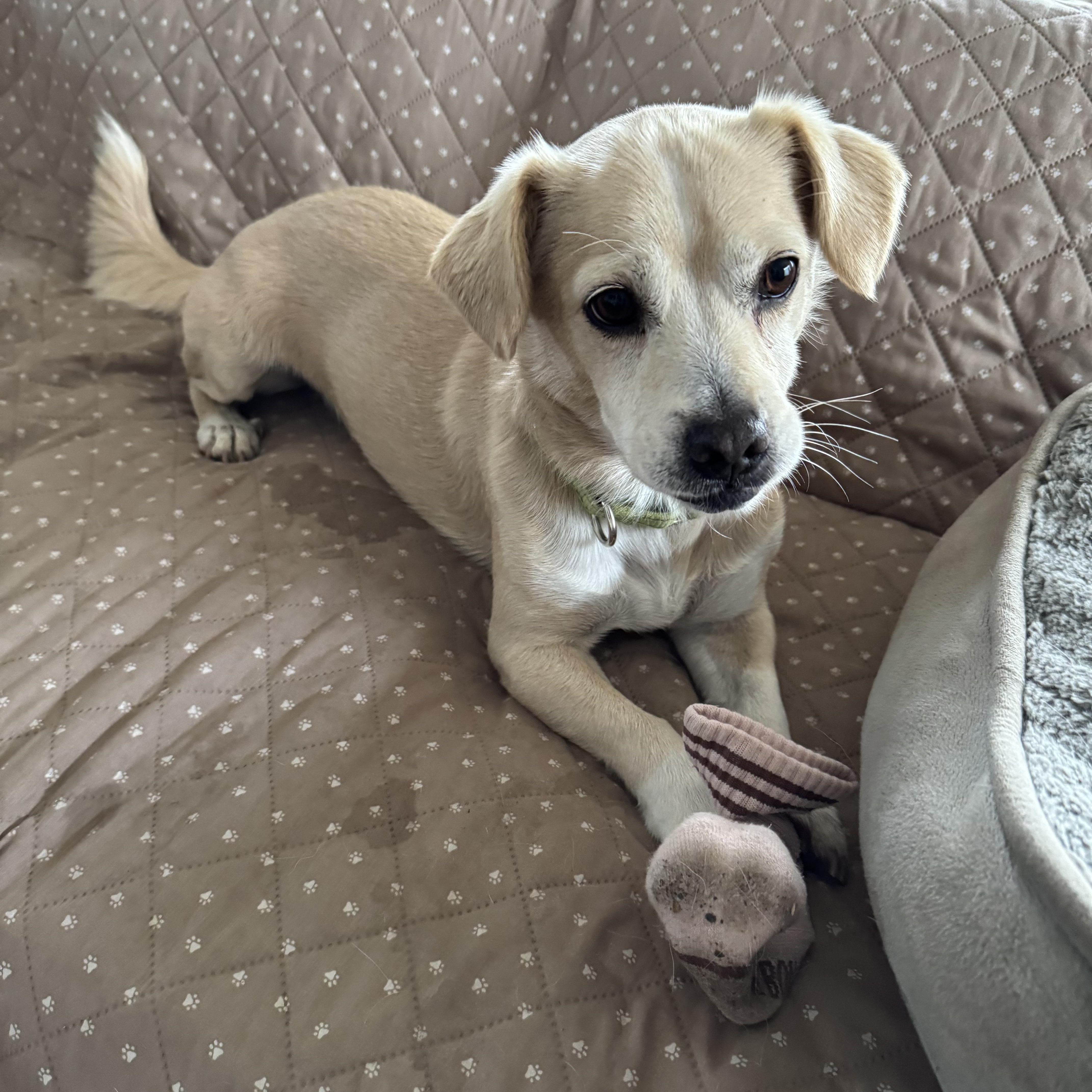 Sunshine thumbnail 6