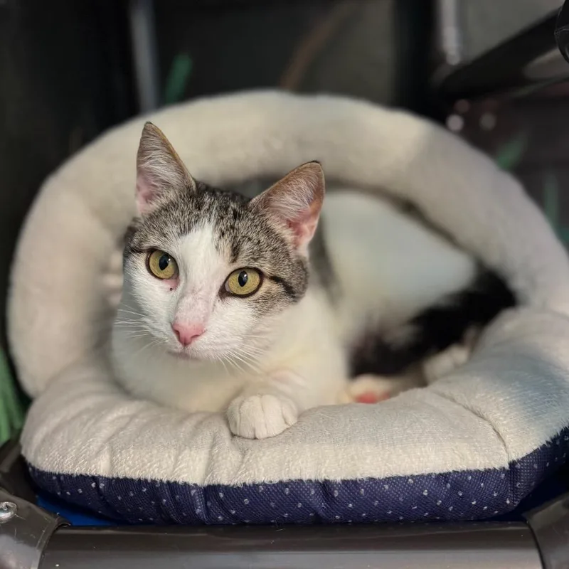 Raindrop thumbnail 3