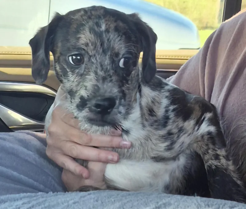 In The Works thumbnail 2