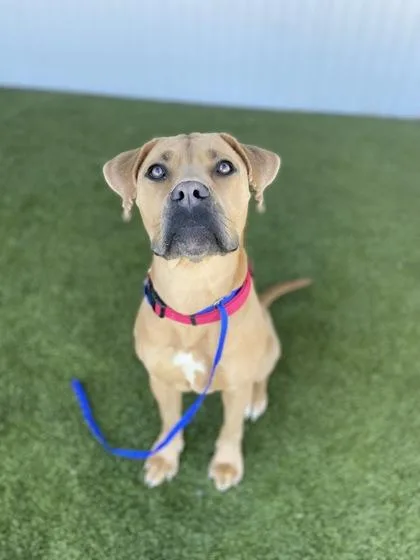 Paulette thumbnail 2