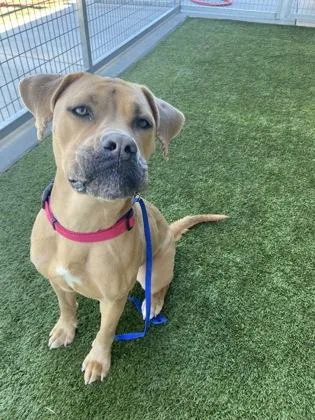 Paulette thumbnail 3