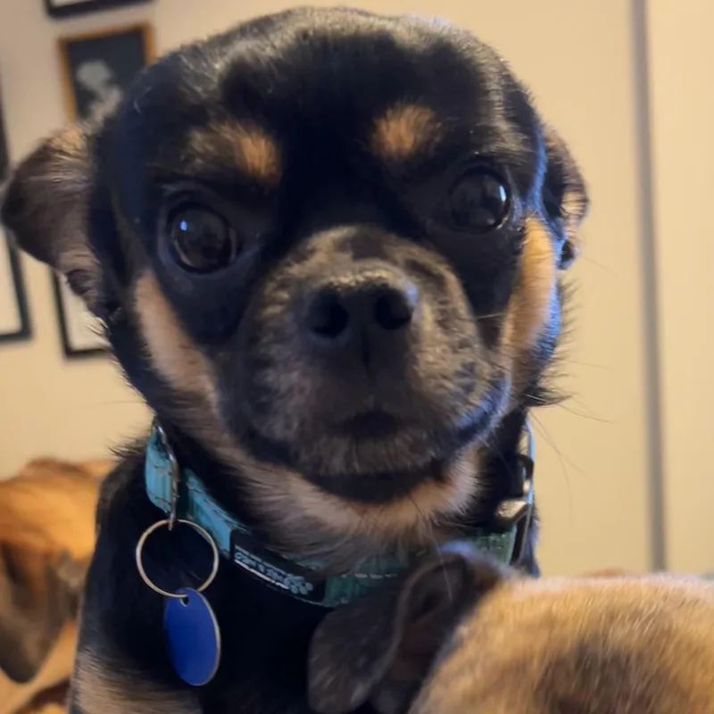 Parker thumbnail 5