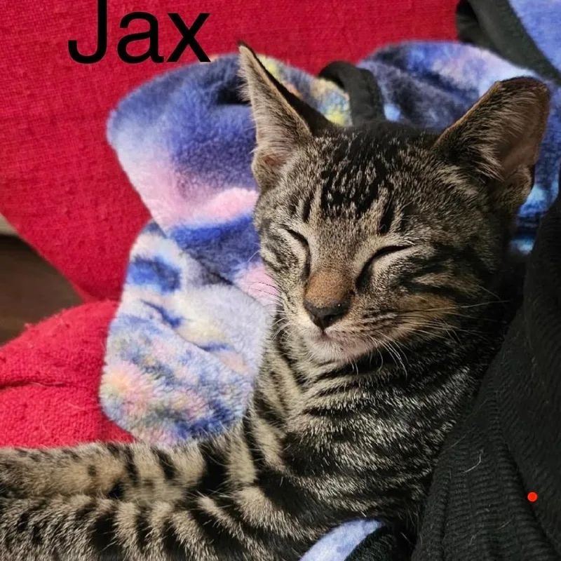Jax