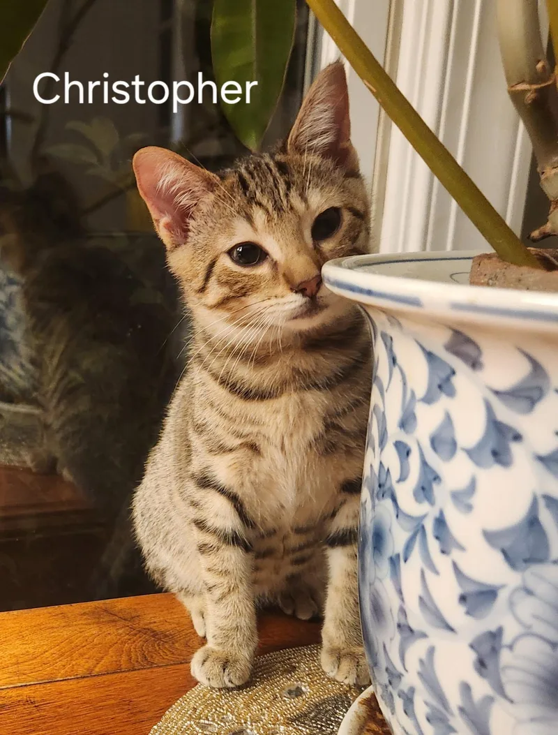 Fathers Day Christopher thumbnail 3