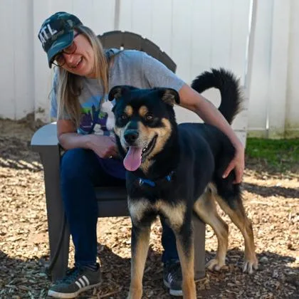 An adult large-sized male Mixed Breed dog named Tanner for adoption in Chamblee, GA