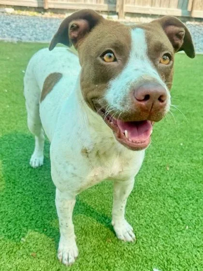 Ellie Mae