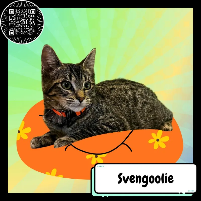 Svengoolie thumbnail 2