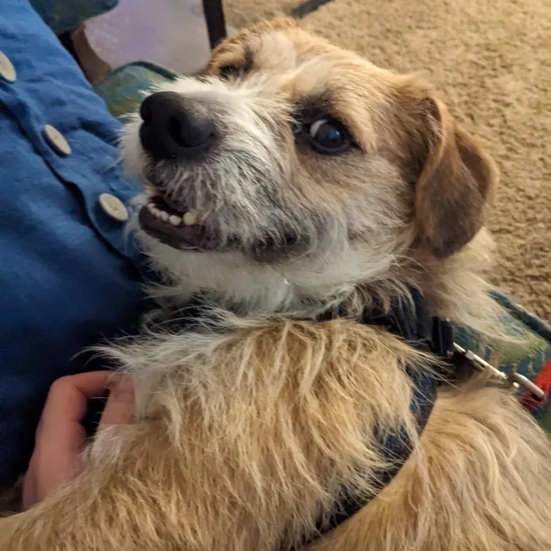 Georgie D thumbnail 3