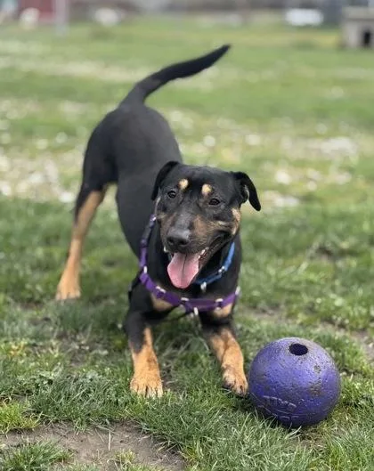 Fern Aka Oso