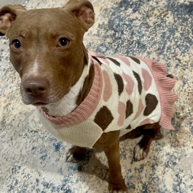 Lola Faye thumbnail 2